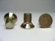 Carriage Bolts image