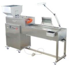 caspule inspection machines 