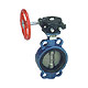 Cast Iron Butterfly Valves