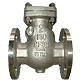 Check Valve