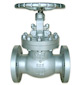 cast steel globe valve 