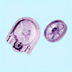 Pressure Die Casting image