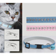 cat collar 