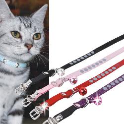 cat collar