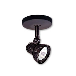 ceiling light system low voltage 