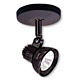 ceiling light system low voltage 