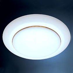 ceiling mounted lights