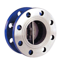 check valves