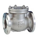 Swing Check Valves image