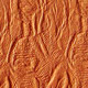 Chicken Claw Skins ( Embossed Molds )