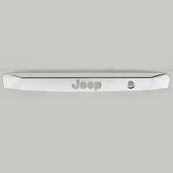 chrome rear door molding 