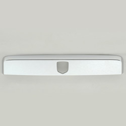 chrome rear door molding 