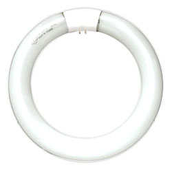 circline fluorescent lamp