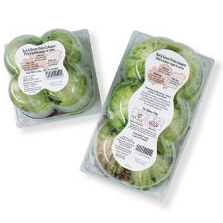 clamshell packaging for vegetables