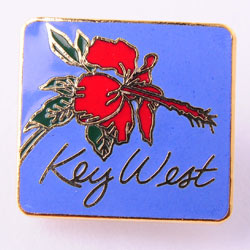 cloisonne lapel pins