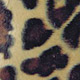 Clothing Fabrics