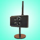 IP Cameras image
