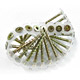 Collated Screws