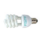 compact fluorescent 