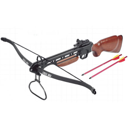 compound crossbow 