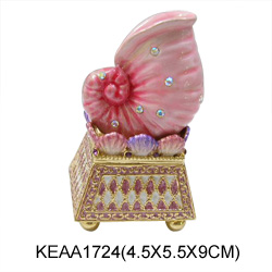 conch jewelry boxes 