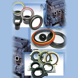 crankshaft seal 