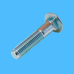 cup square head bolts