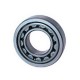 Cylindrical Type Roller Bearings