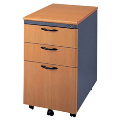 data storage cabinets 