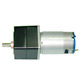 dc brush gear motor 