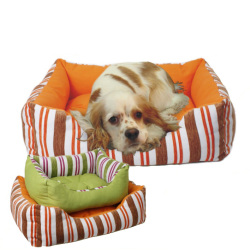 dog beds