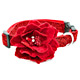 Pet Products: Dog Collars