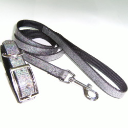 dog collars and leashes 