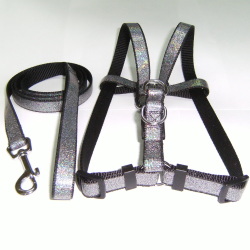 dog harnesses and matching leashes 