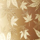 Double Etching Tin Bronze Stainless Steel Sheets