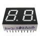 0.50" dual digit numeric displays 