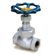 ductile iron globe valves 