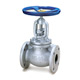 ductile iron globe valves 