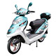 Electric Scooters(Motor Bikes)