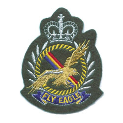 embroidered badge 