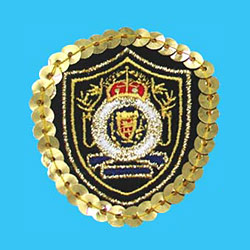 Embroidered Badges And Paillettes
