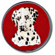 Embroidered Crests image