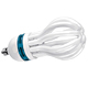 Fluorescent Lamps image