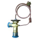 Expansion Valves