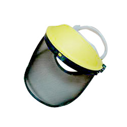 face shield