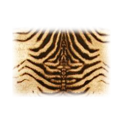 fashion fabric 