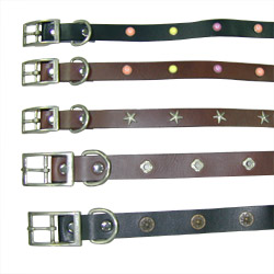 fashion leather collar