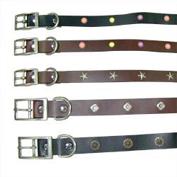 fashion leather collar 