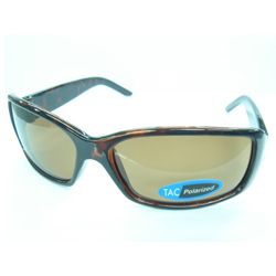 fashion sunglasses