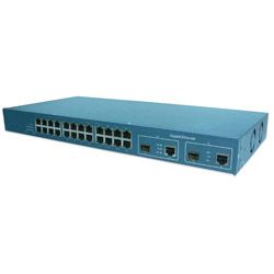 fast ethernet switch